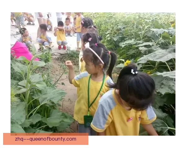 世界杯出线形势下国家队阵容风向与中场绞杀节奏博弈解析全景观察